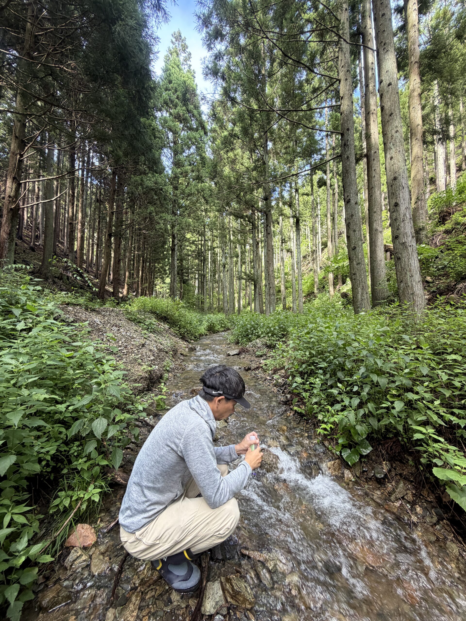 Un été 2026 marqué par la recherche sur l’impact des feux de forêt